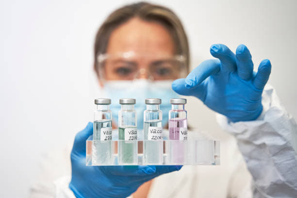 143233773 1357579414624408 7771932193079845296 n