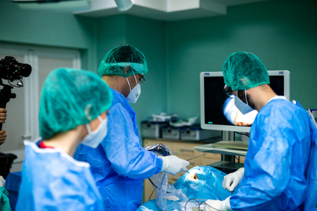 161186963 260854992191638 1647143388466249700 o