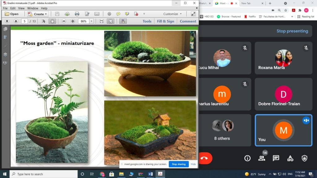 220568196 118896723795632 7890598995778782815 n