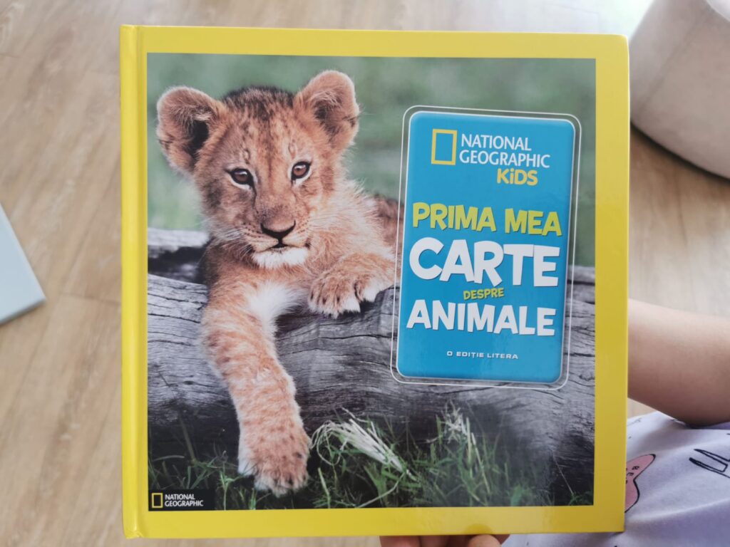 bec748cf 6dd8 46ee a79a 5f05123ba5ae