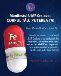 FeAfis final