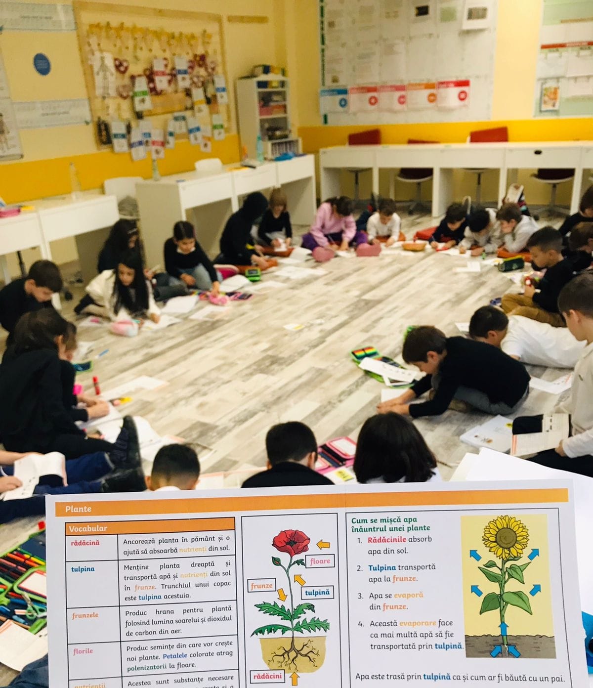 WhatsApp Image 2023 02 06 at 09.20.50