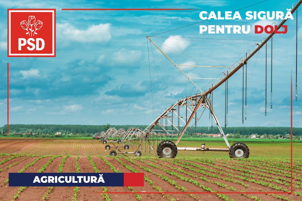 WhatsApp Image 2024 11 25 at 12.08.12